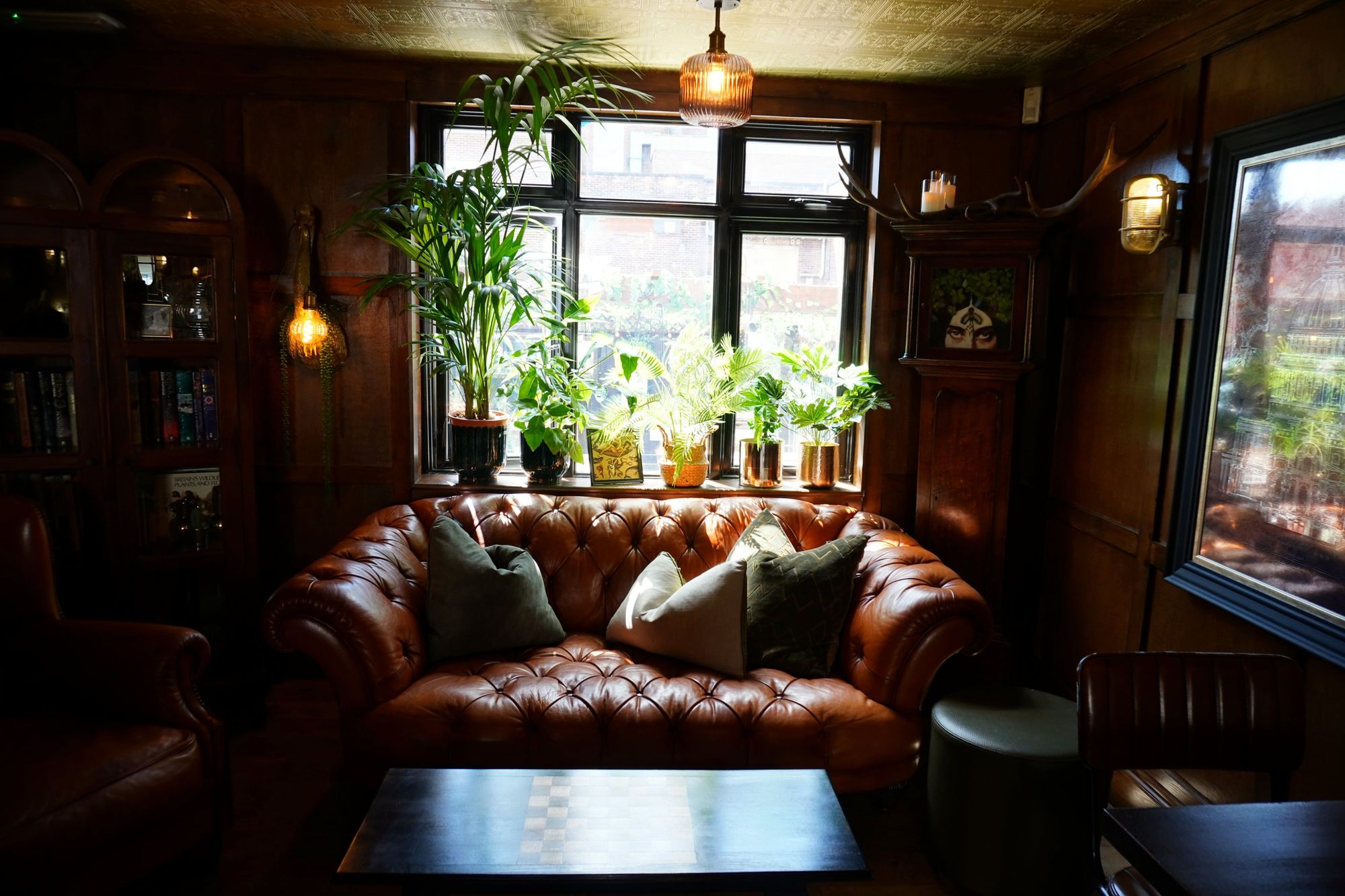 Raven & Bine, Bedford Place (Photo: Raven & Bine - 21/06/2024). (Pub). Published on 21-06-2024