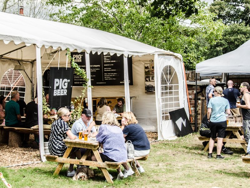 Pig Beer, Brockenhurst (Photo: Pig Beer 27/08/2022). (Pub, External, Garden, Customers). Published on 27-08-2022