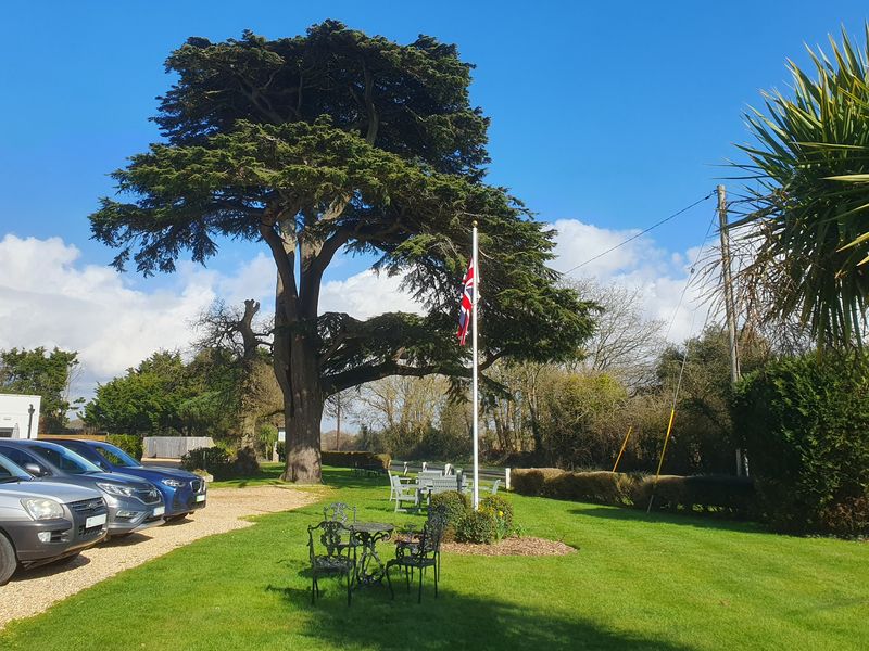 South Lawn Hotel, Milford on Sea. (Garden). Published on 06-03-2024 