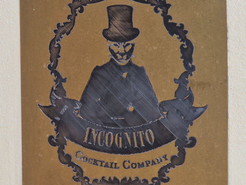 Incognito, Winchester (Photo: Pete Horn - 25/07/2026). Published on 25-07-2026 