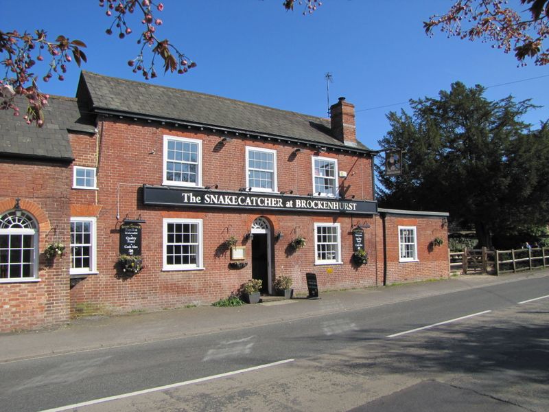 Snakecatcher, Brockenhurst. (Pub, External, Garden, Key). Published on 08-04-2011