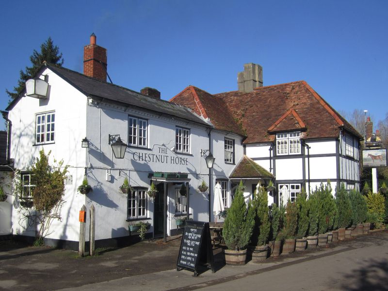 Chestnut Horse, Easton (photo: Pete Horn 11/11/2012). (Pub, External, Key). Published on 11-11-2012