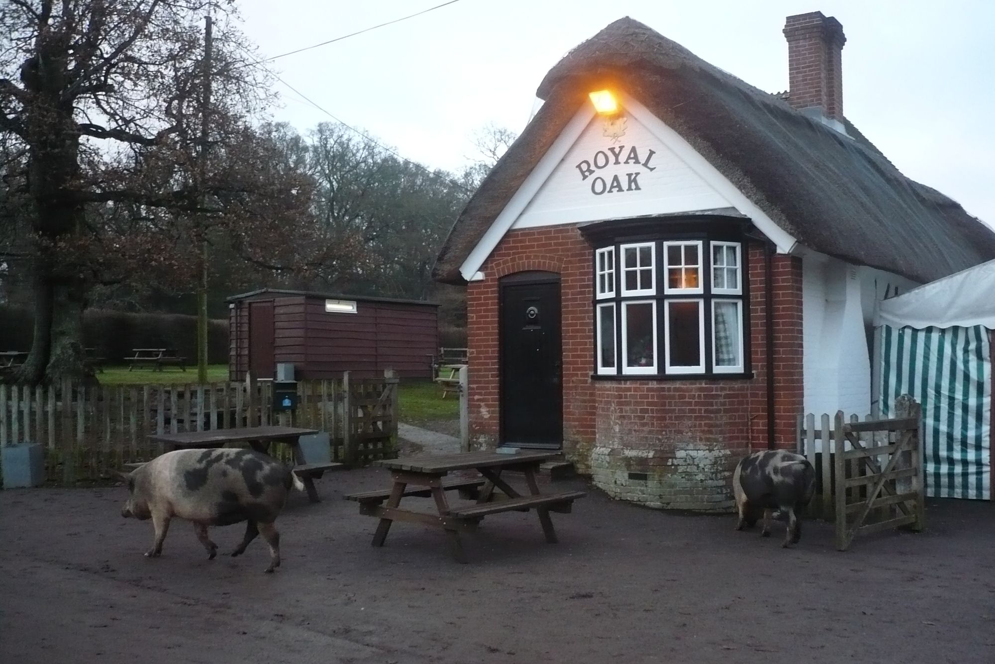 Royal Oak, Fritham. (Pub, External, Key). Published on 30-12-2010