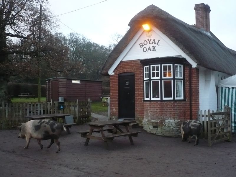 Royal Oak, Fritham. (Pub, External, Key). Published on 30-12-2010