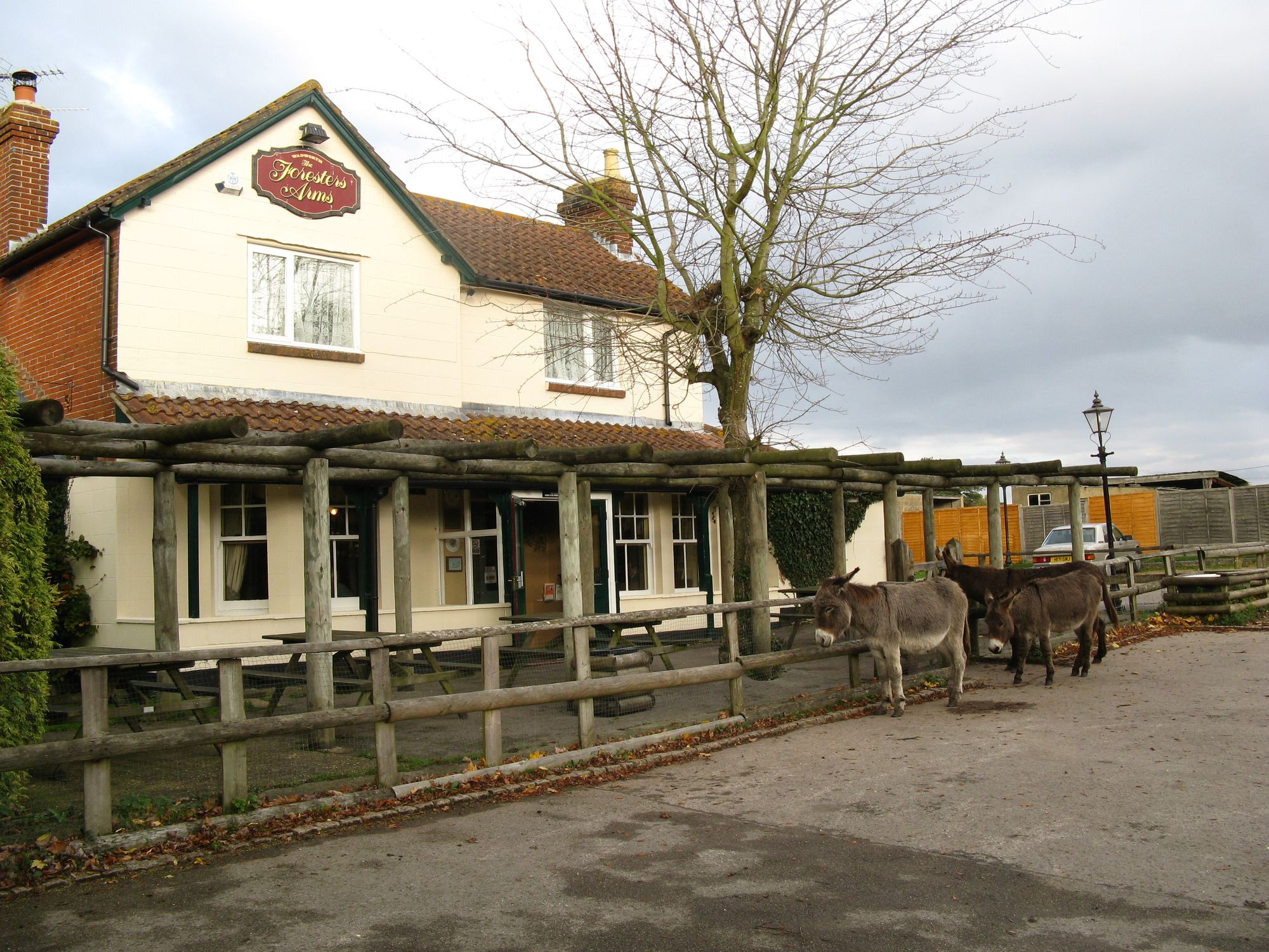 Foresters Arms, Frogham. (Pub, External). Published on 24-02-2010