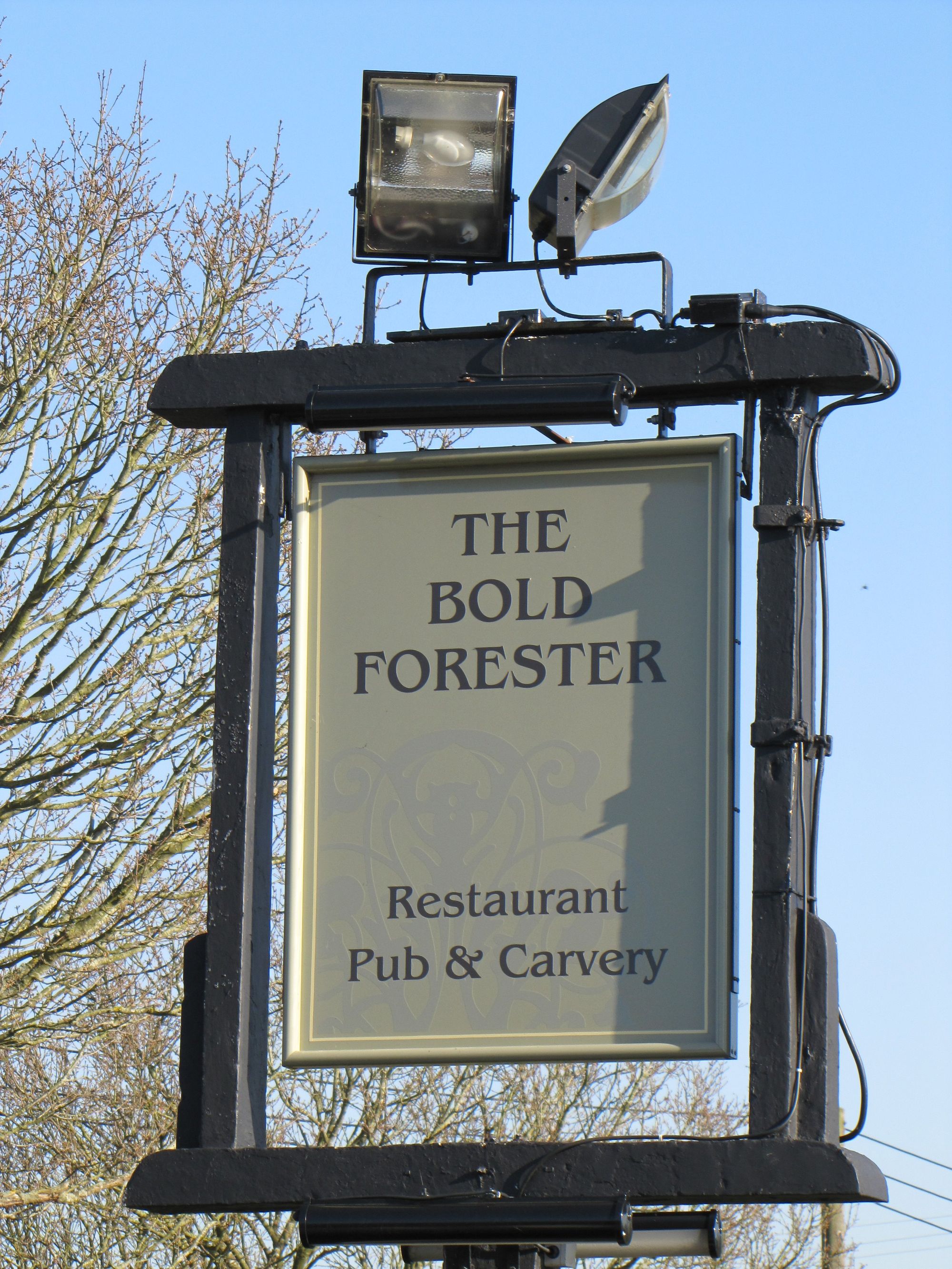 Bold Forester, Marchwood. (Sign). Published on 08-04-2011