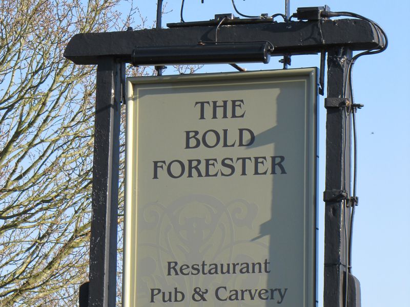 Bold Forester, Marchwood. (Sign). Published on 08-04-2011