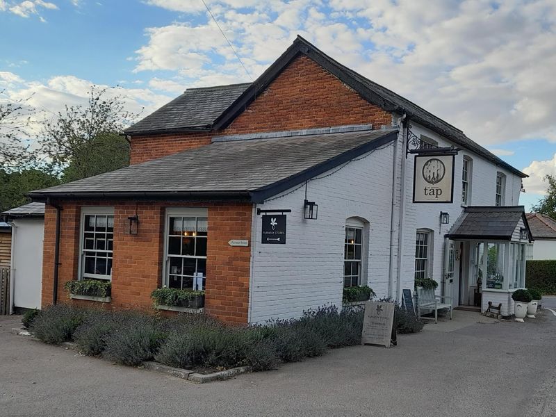 Brewery Tap. (Pub, Key). Published on 08-05-2022