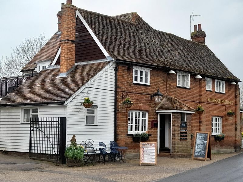 Plume of Feathers. (Pub, Key). Published on 03-11-2022