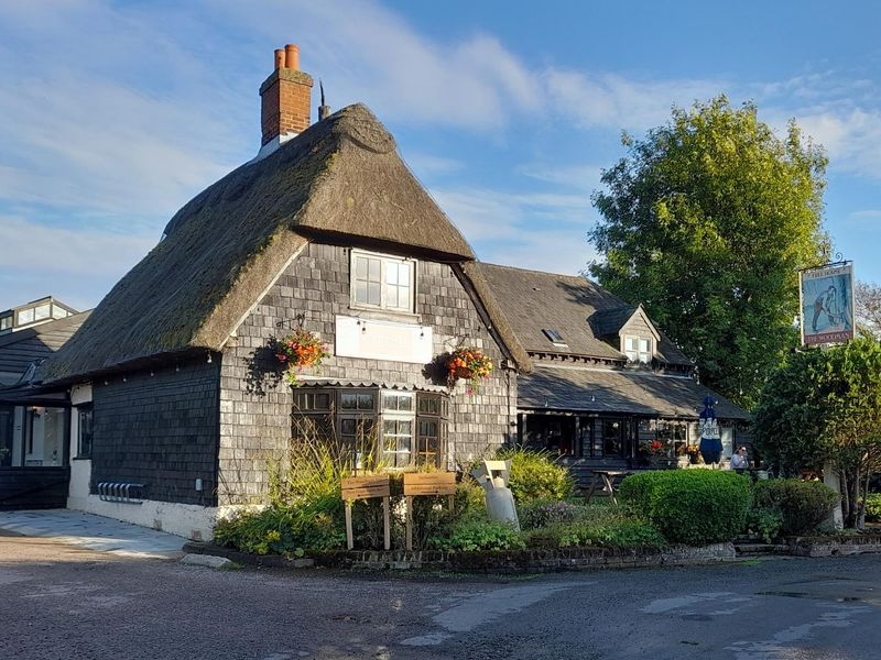 Woodman. (Pub, Key). Published on 08-02-2023