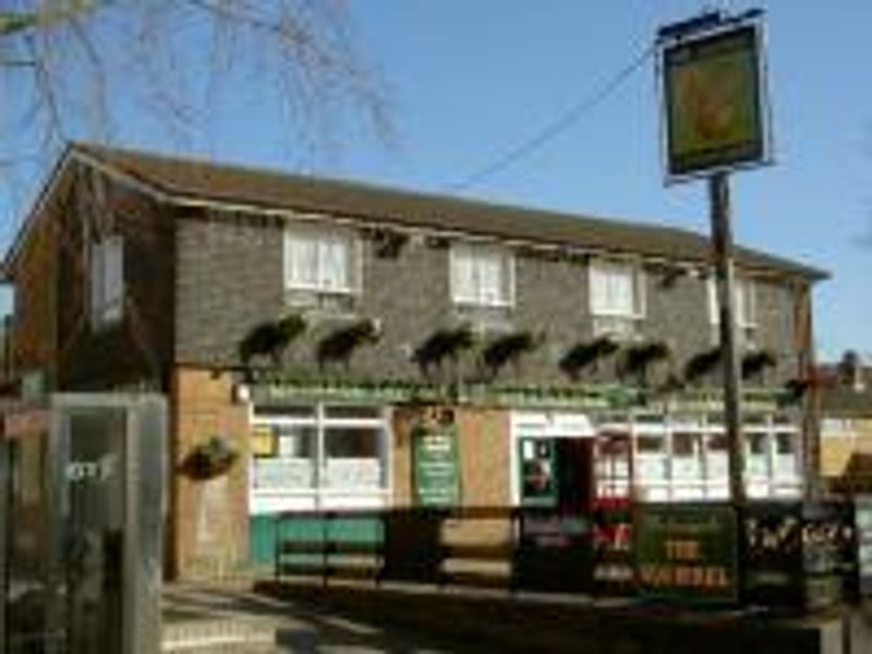 Squirrel at Stevenage. (Pub, External). Published on 01-01-1970