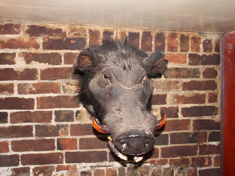 Boar's Head inside the Boar's Head Inn. (Pub). Published on 14-06-2018