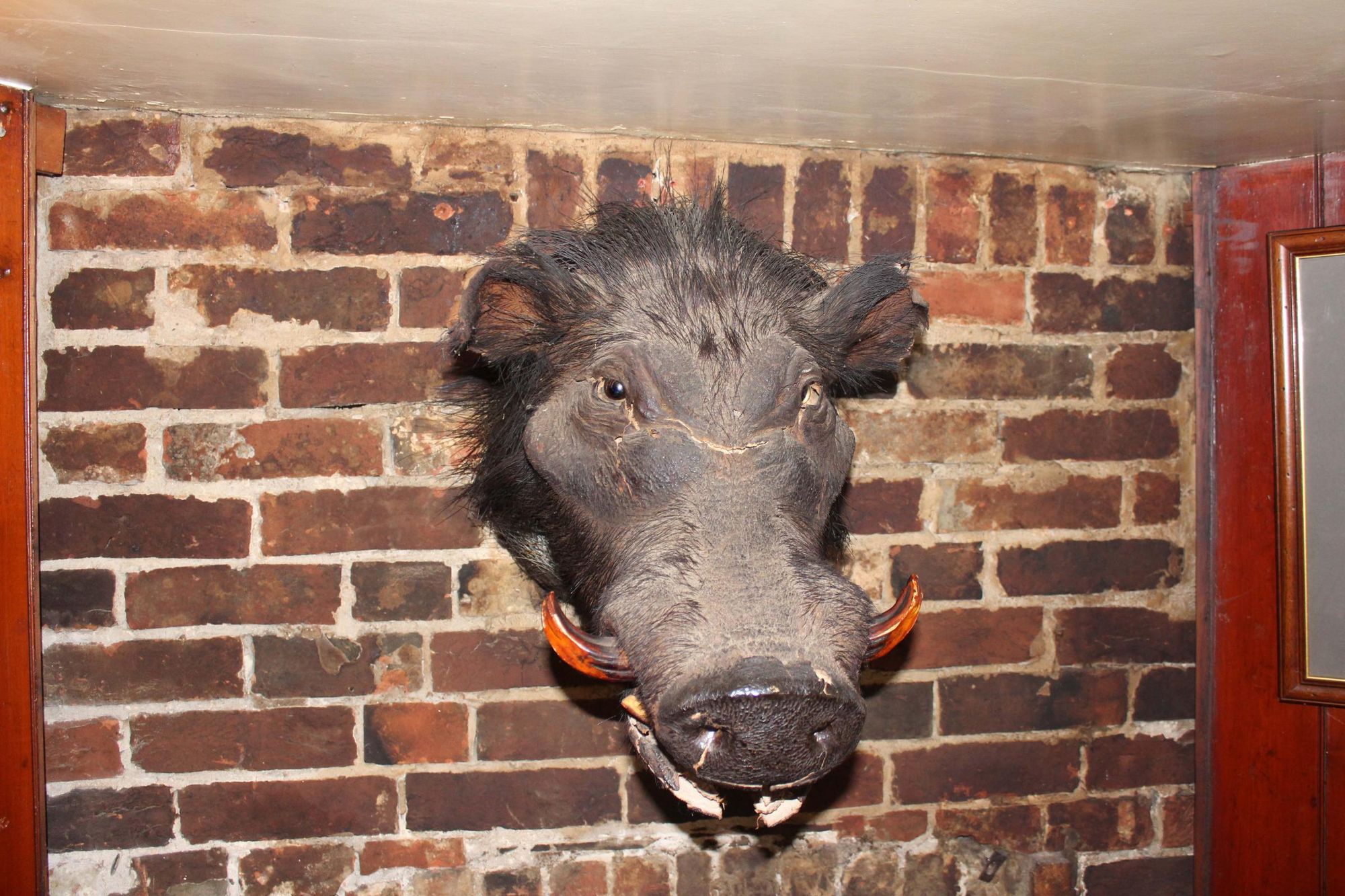 Boar's Head inside the Boar's Head Inn. (Pub). Published on 14-06-2018