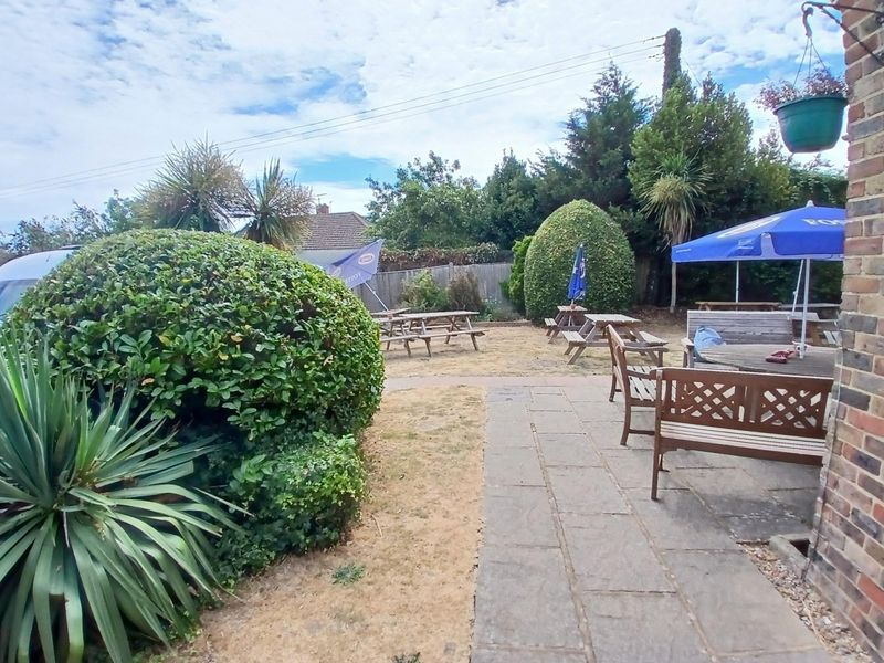 (Garden). Published on 17-08-2026
