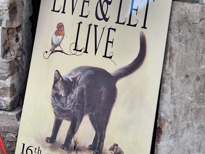 Pub sign. (Sign). Published on 15-09-2025 