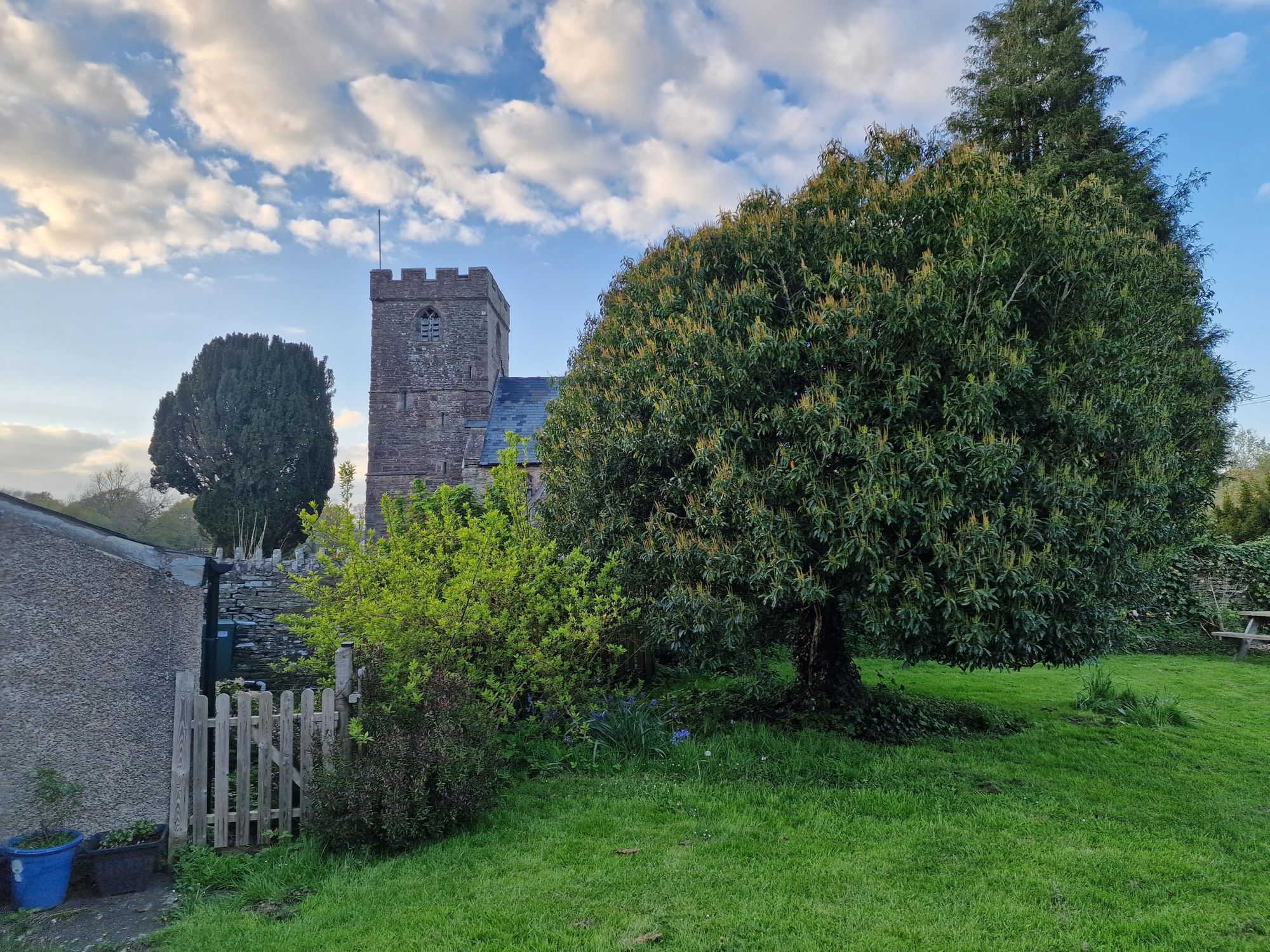 DP 04/24. (External, Garden). Published on 25-04-2024
