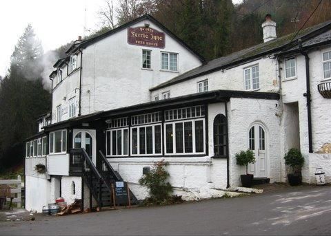 Old Ferrie Inn, Symonds Yat West - CAMRA Experience