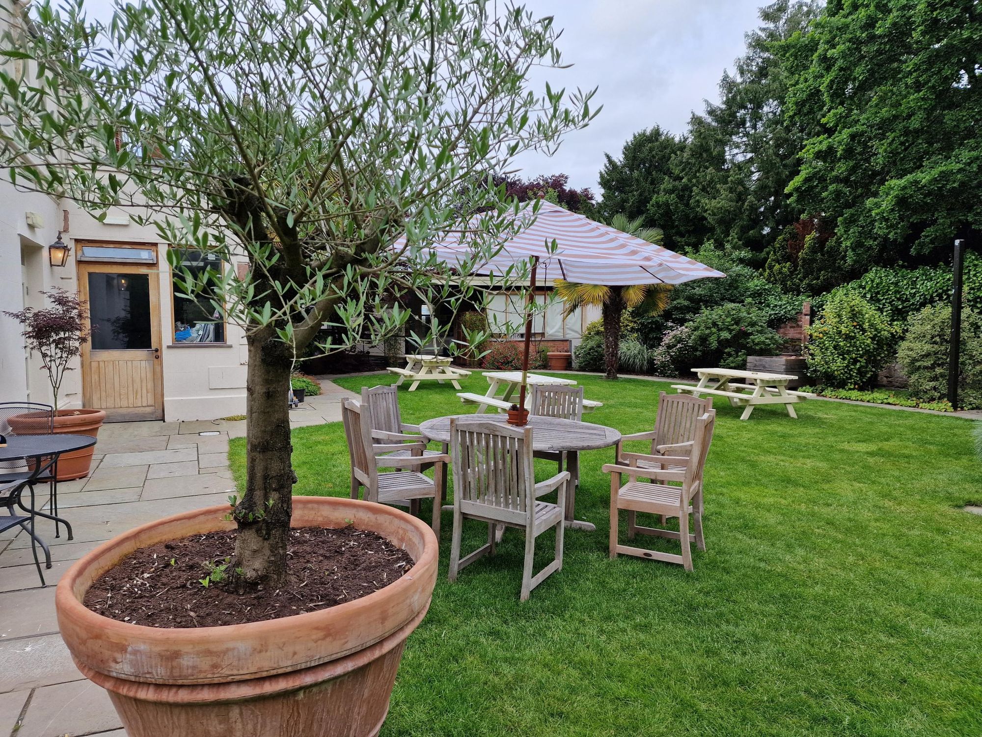Garden. (External, Garden). Published on 11-06-2024