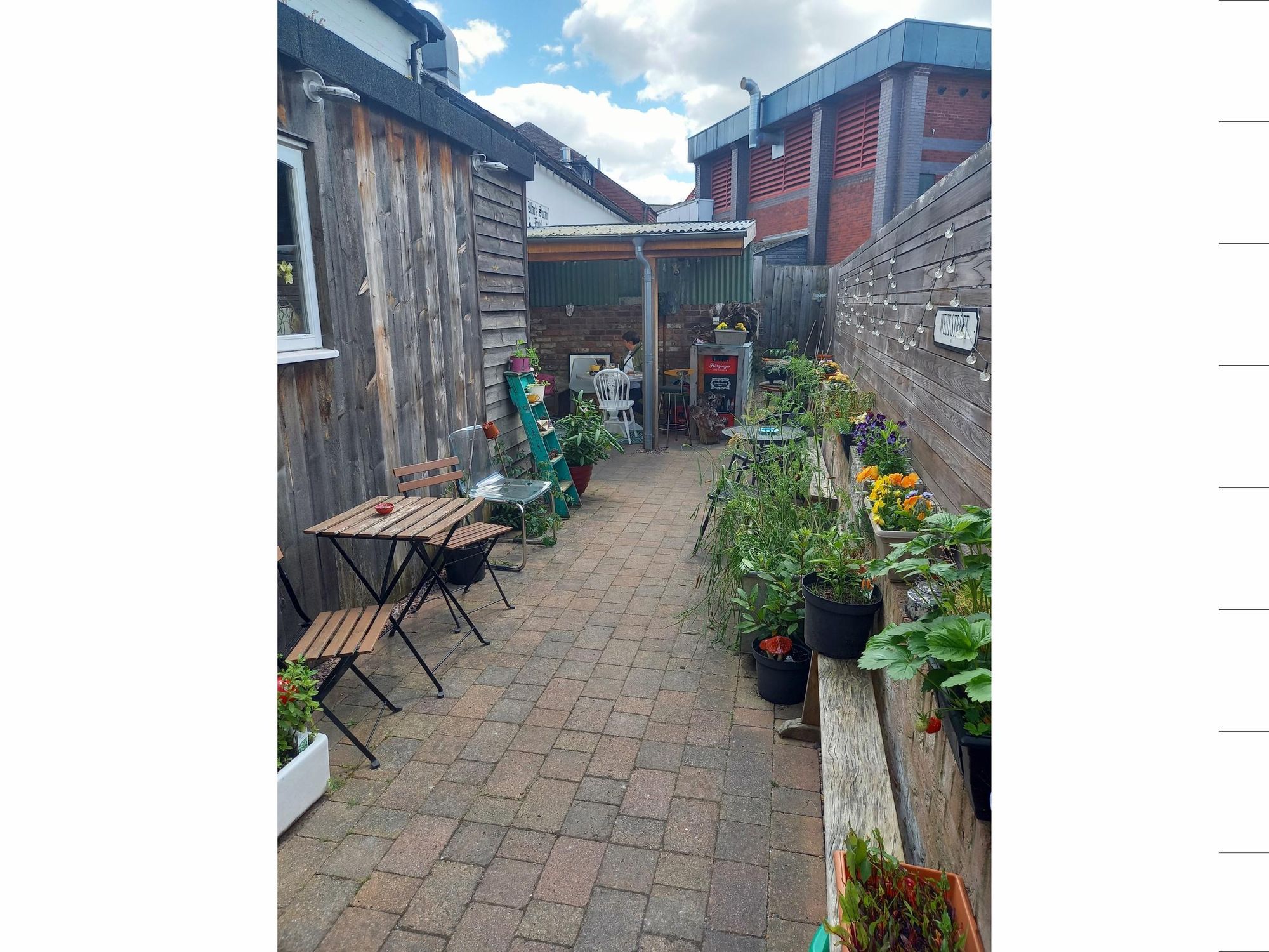 Rear yard. (External, Garden). Published on 01-07-2024