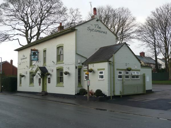Sycamores in January 2014. (Pub, External). Published on 17-01-2014