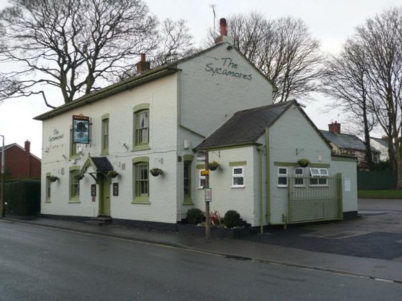 Sycamores in January 2014. (Pub, External). Published on 17-01-2014