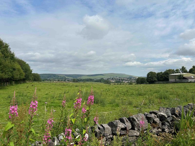 View of fields and hills from Beer Garden. (Pub, External, Garden). Published on 24-07-2024 