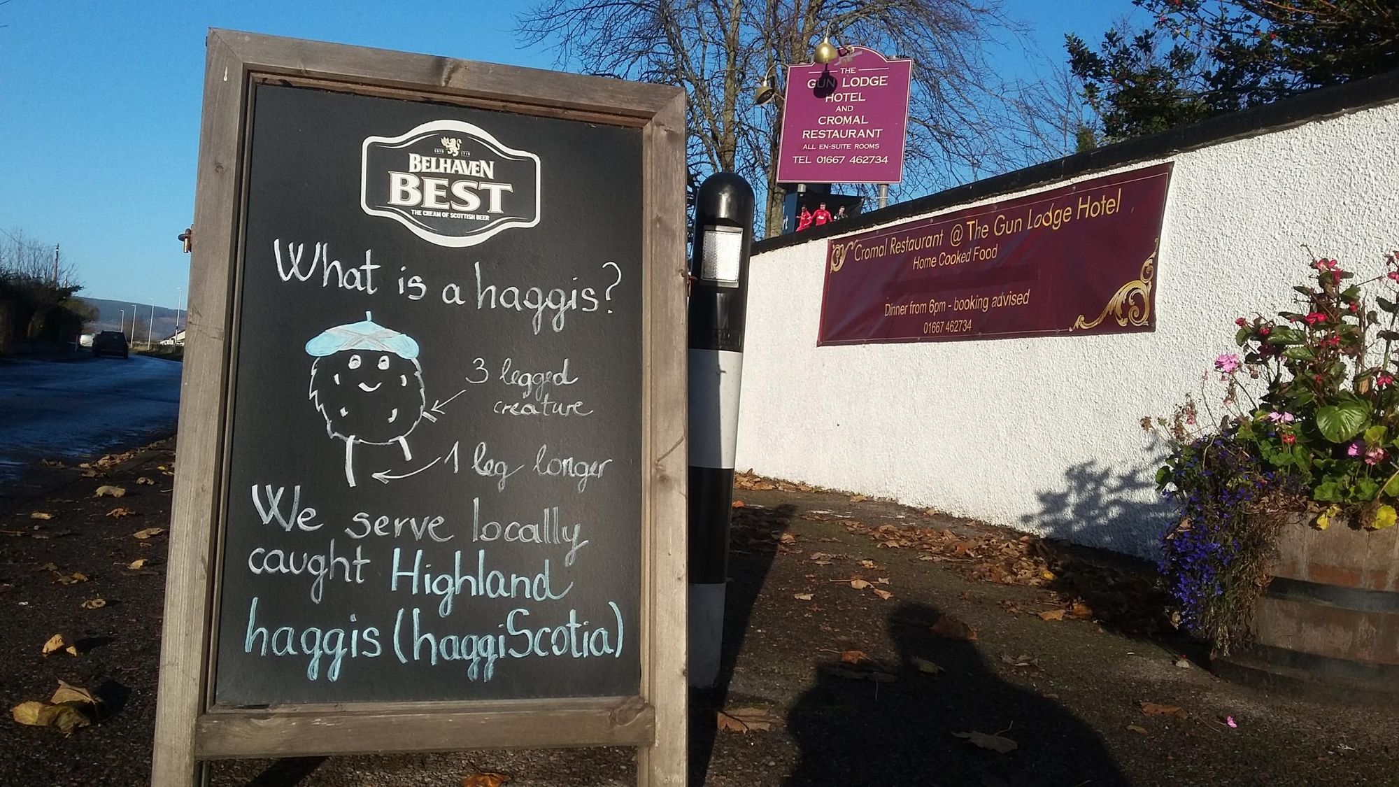 Haggis information. (External). Published on 28-11-2016