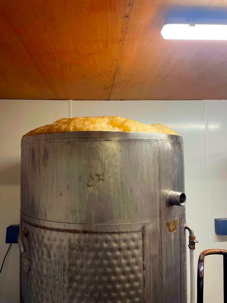 (Brewery). Published on 22-08-2023