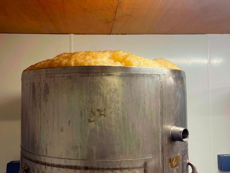 (Brewery). Published on 22-08-2023 