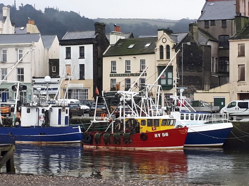 Pub across harbour - David Halliwell). (External). Published on 18-01-2021