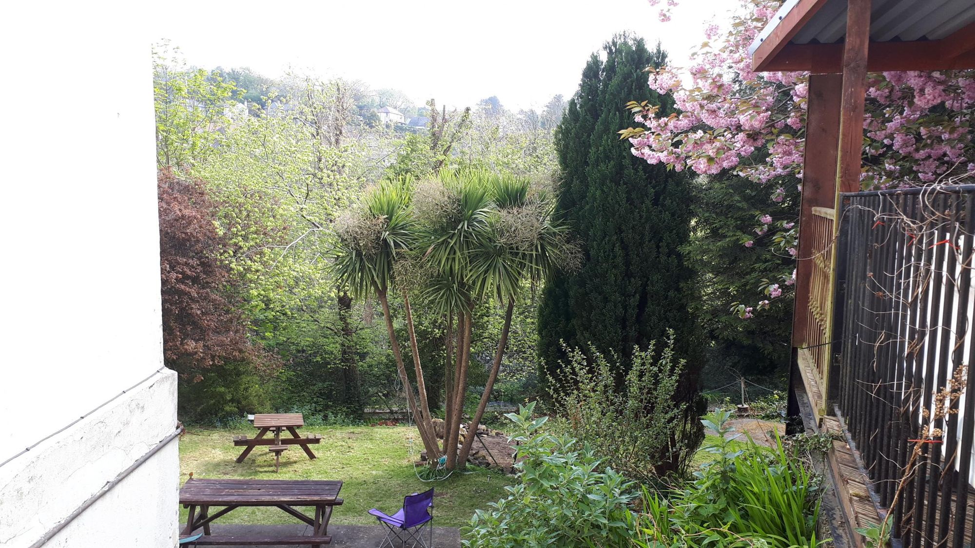 (Garden). Published on 29-06-2020