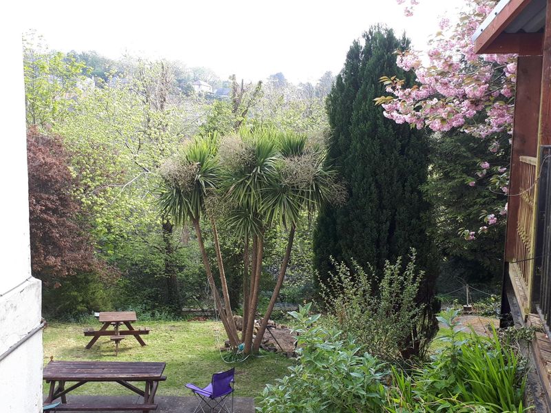 (Garden). Published on 29-06-2020 
