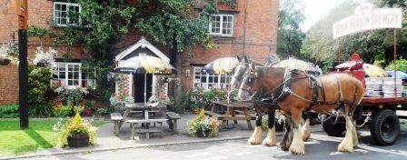 Hook Norton dray outside the Pear Tree. Published on 23-02-2015