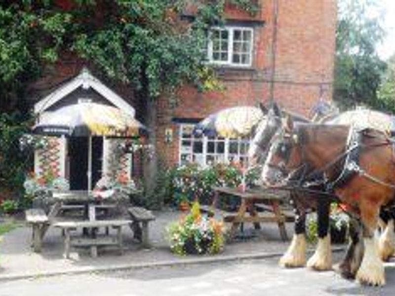 Hook Norton dray outside the Pear Tree. Published on 23-02-2015
