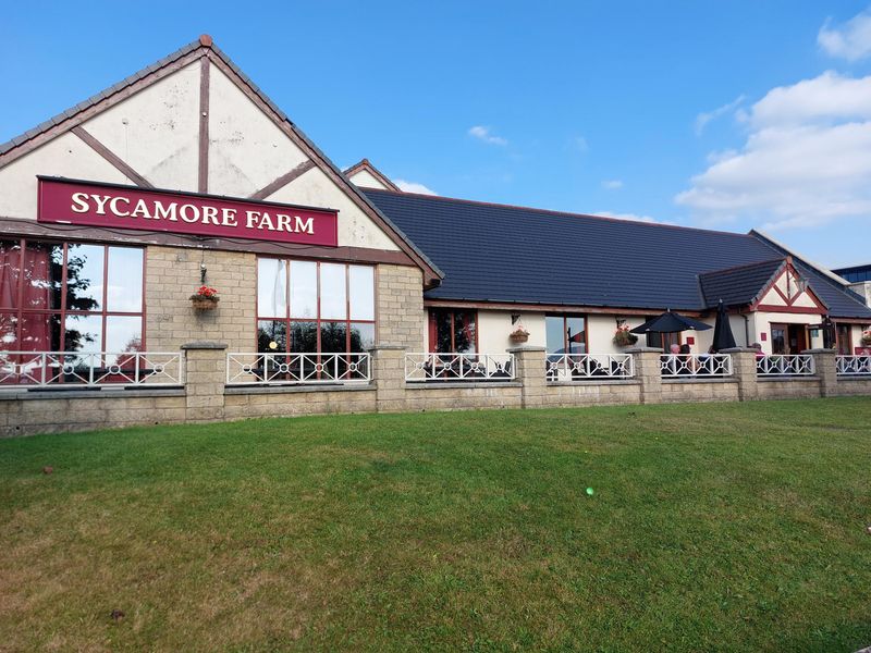 Published on 19-11-2025 