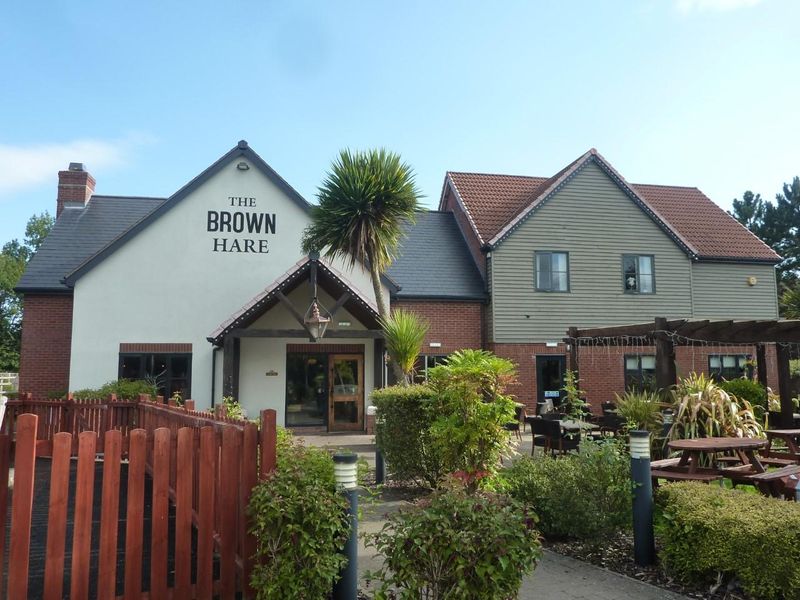 Brown Hare 26.08.2021. (Pub, External). Published on 26-08-2021