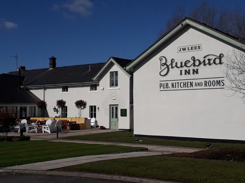 Bluebird, Balderstone 5.4.18. (Pub, External, Key). Published on 06-04-2018 