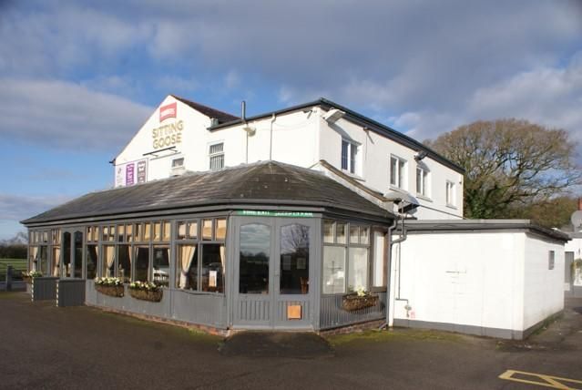 Sitting Goose, Bartle, Feb 2018. (Pub, External). Published on 08-02-2018