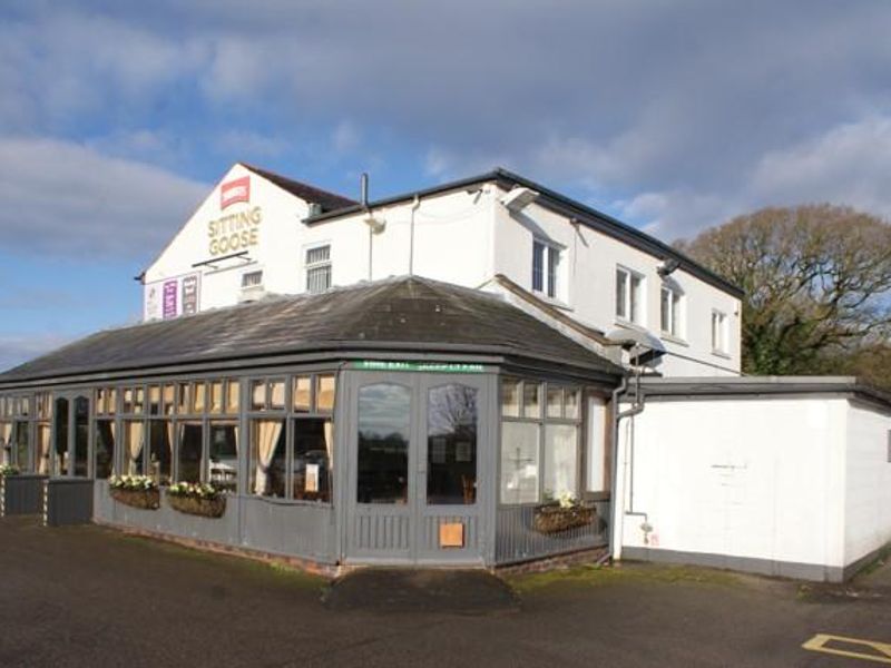 Sitting Goose, Bartle, Feb 2018. (Pub, External). Published on 08-02-2018