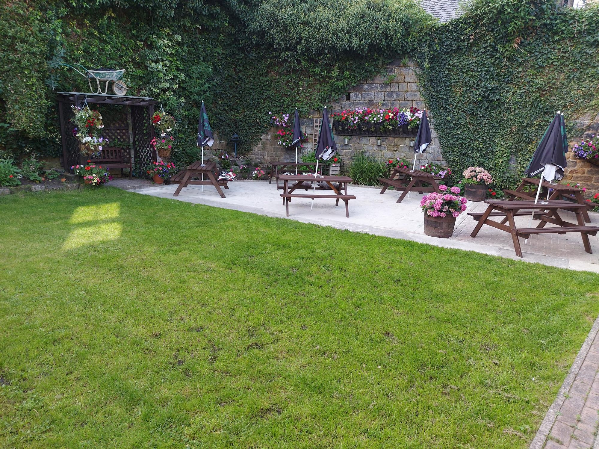 (Garden). Published on 19-09-2020