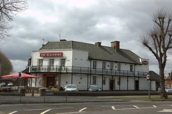 Blackbird, Leicester. (Pub, External). Published on 11-11-2014