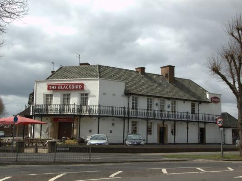Blackbird, Leicester. (Pub, External). Published on 11-11-2014 