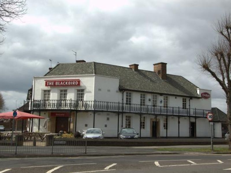 Blackbird, Leicester. (Pub, External). Published on 11-11-2014