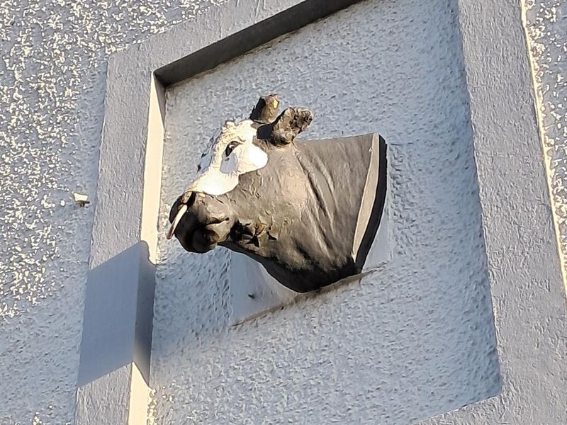 Bulls Head sign. (Pub, External, Sign). Published on 18-11-2025 