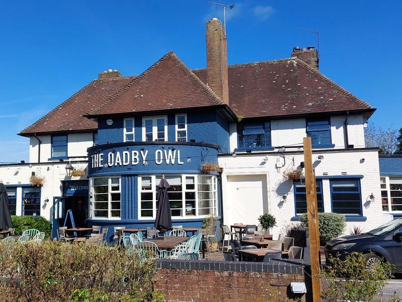 Oadby Owl 2025. (Pub, External). Published on 22-06-2025 