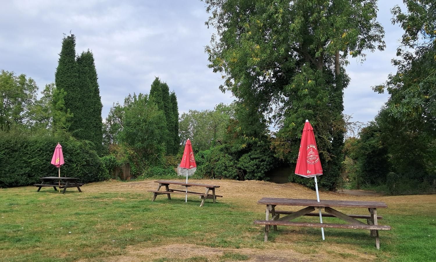 Garden, August 2025. (Pub, Garden). Published on 22-08-2025