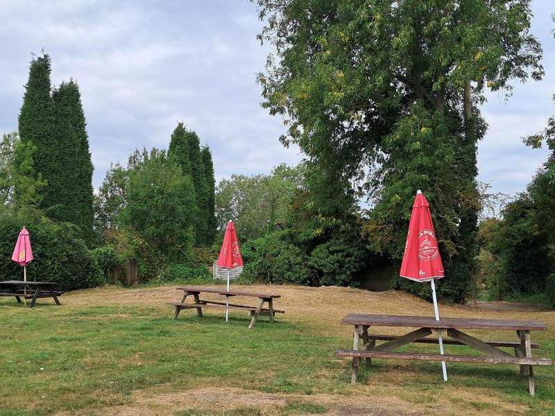 Garden, August 2025. (Pub, Garden). Published on 22-08-2025 
