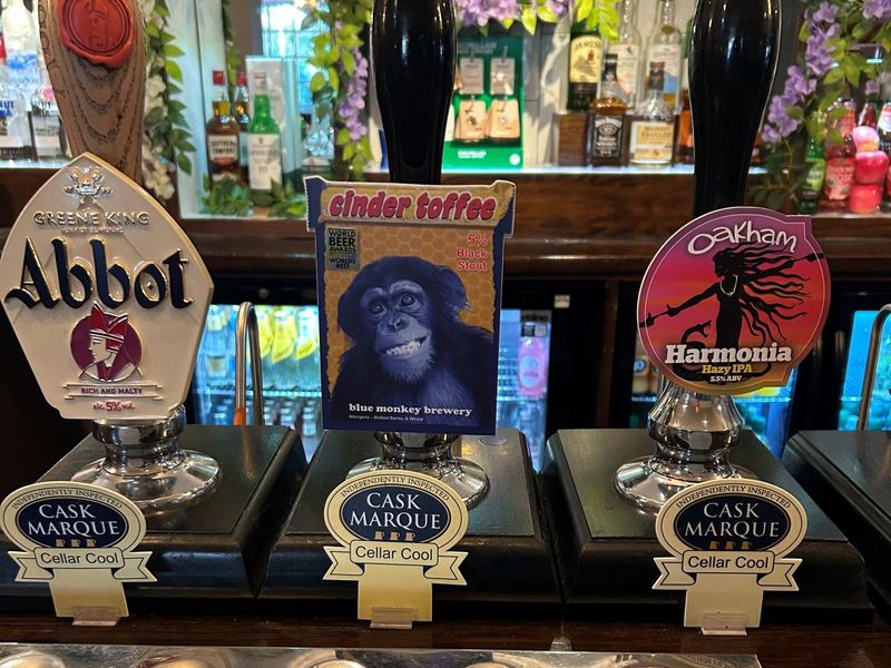 Beers 2025. (Pub, Bar). Published on 09-11-2025 