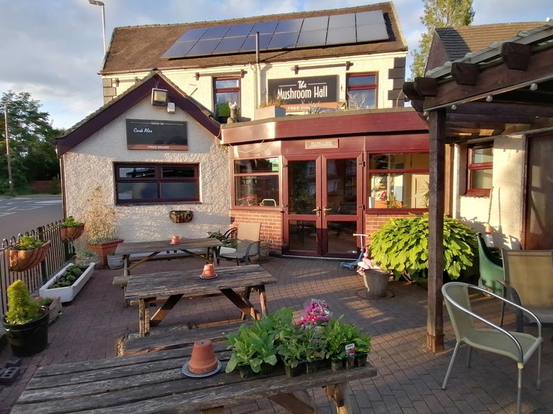 Mushroom_Hall_Albert_Village. (Pub, External). Published on 15-06-2024