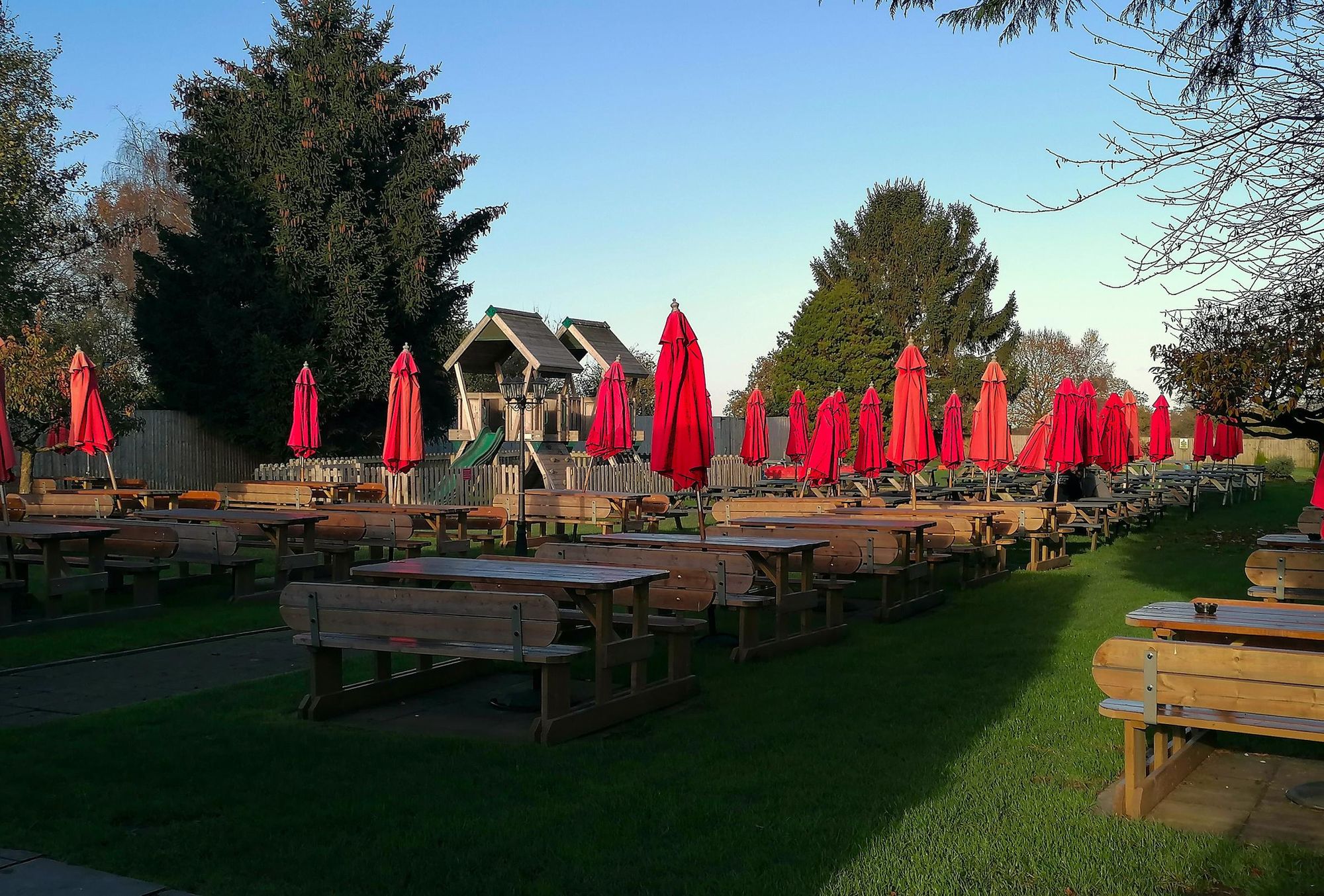 Bulls Head_Abbots Oak. (Garden). Published on 11-11-2024